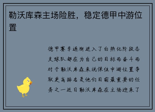 勒沃库森主场险胜，稳定德甲中游位置
