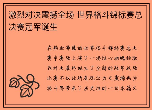 激烈对决震撼全场 世界格斗锦标赛总决赛冠军诞生